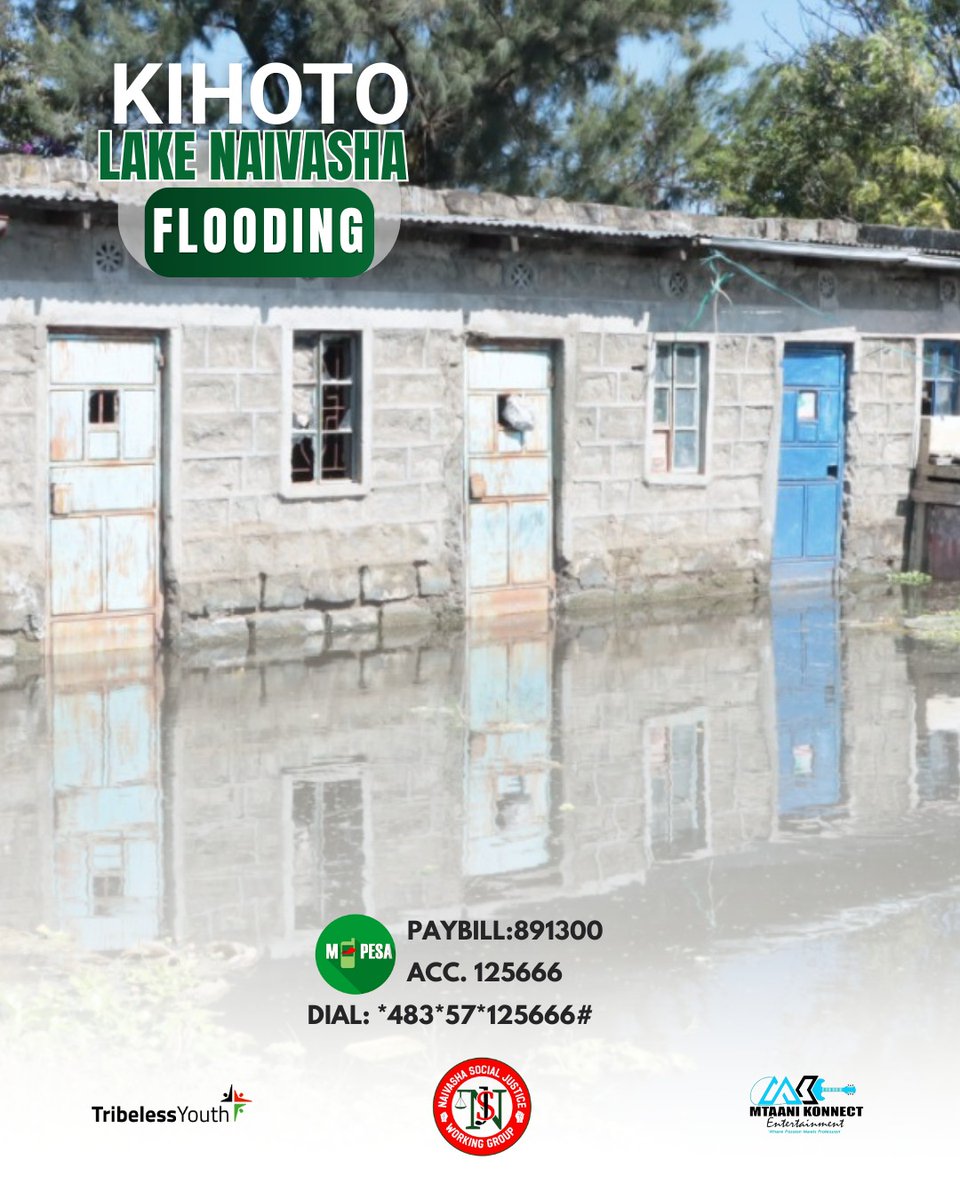 Hadassah_Chronicles tweet media