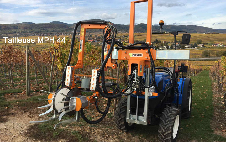 Maxideza tweet media