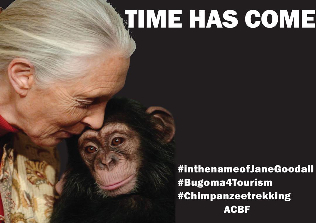 Association for Conservation of Bugoma Forest tweet media