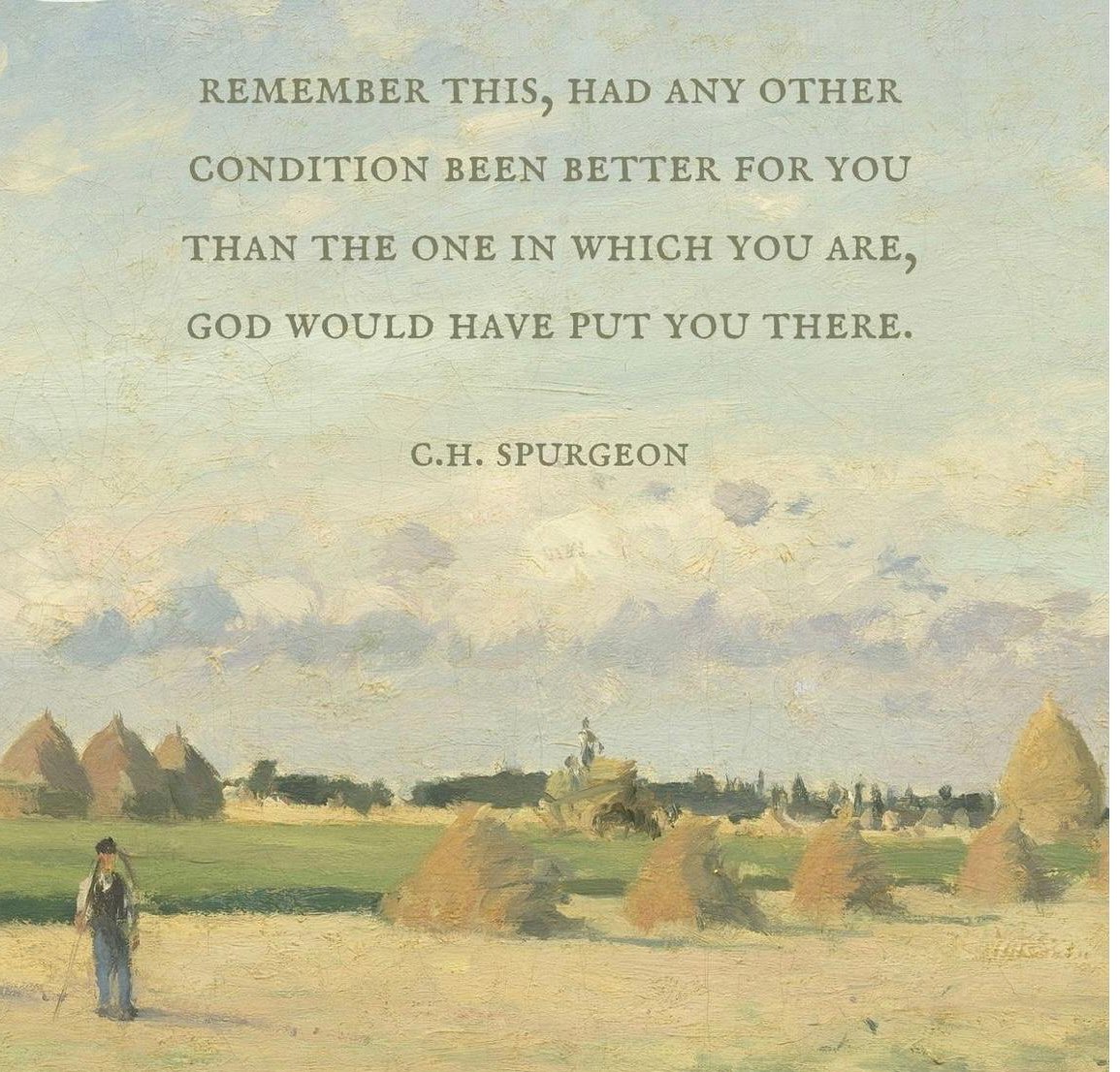 Josh Barzon tweet media