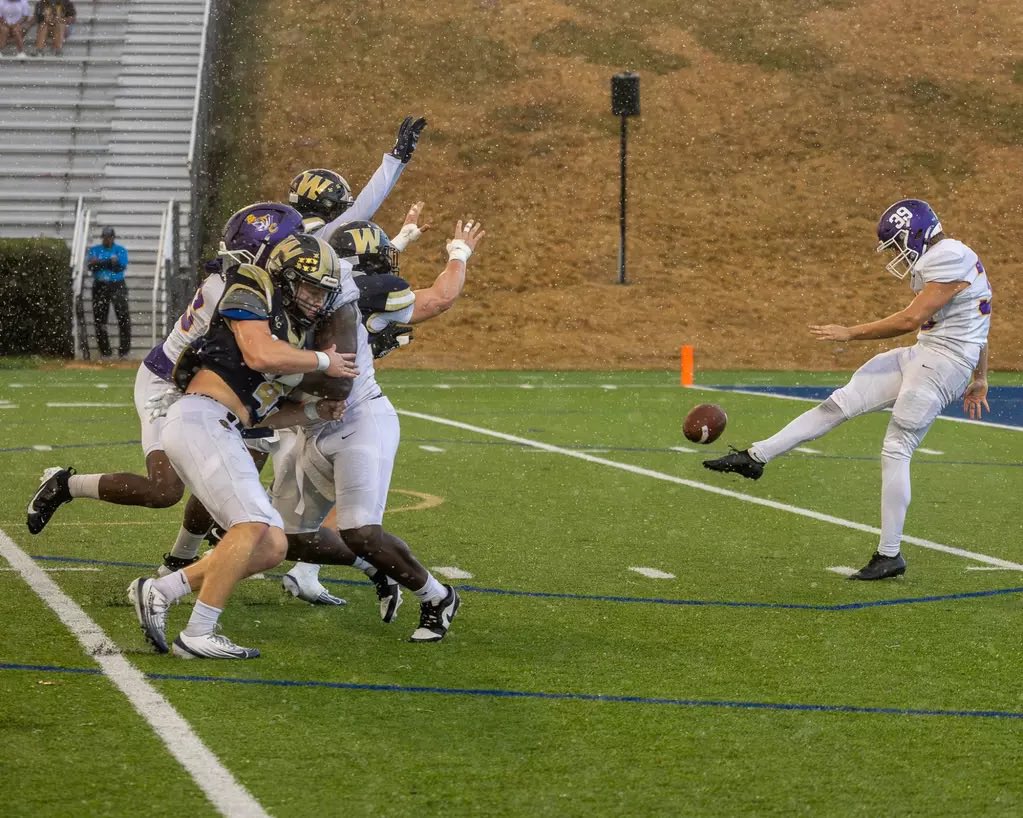 Kolten Ford tweet media