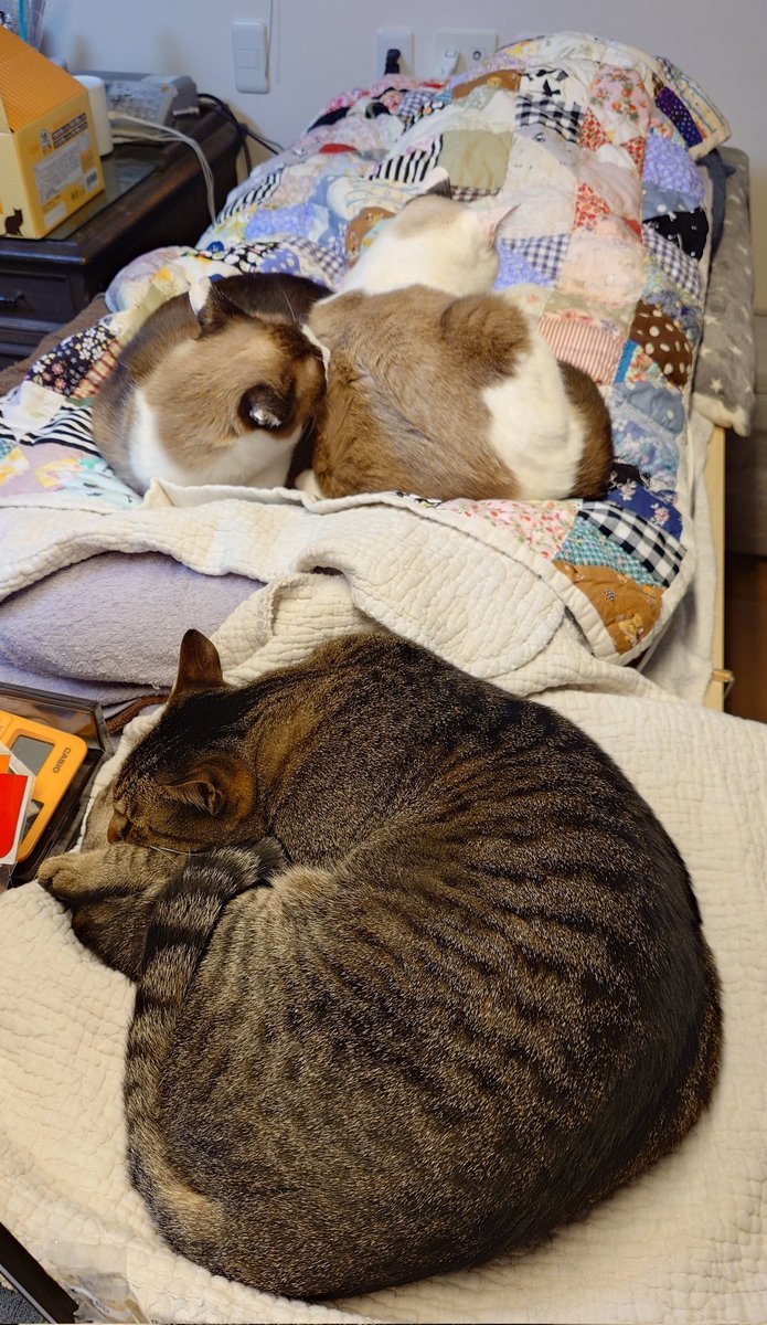 ちびすけ ちびすけ