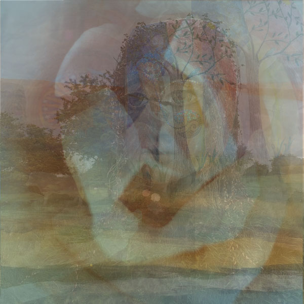artemis (@artfly) / Posts / X
