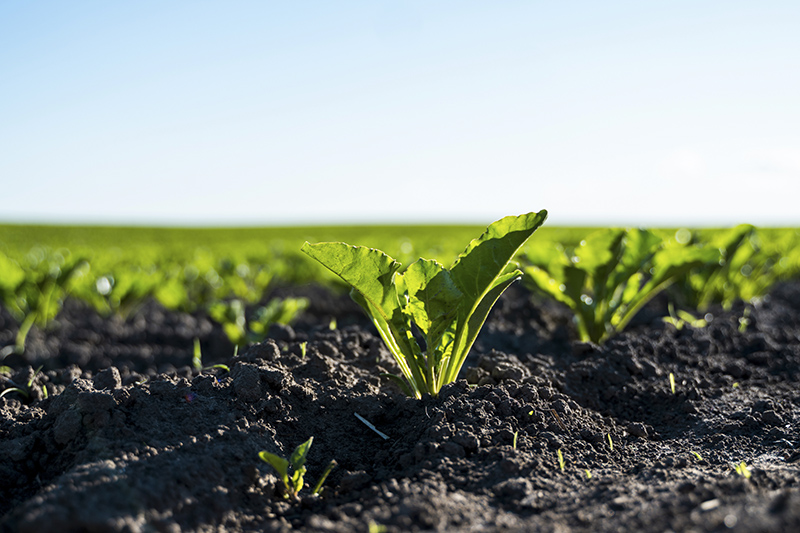 borochemie's tweet photo. Everything you need to know about NPK Based Fertilizers

Learn More :  https://t.co/v6LBmUg7oK https://t.co/L8JC3Y109P