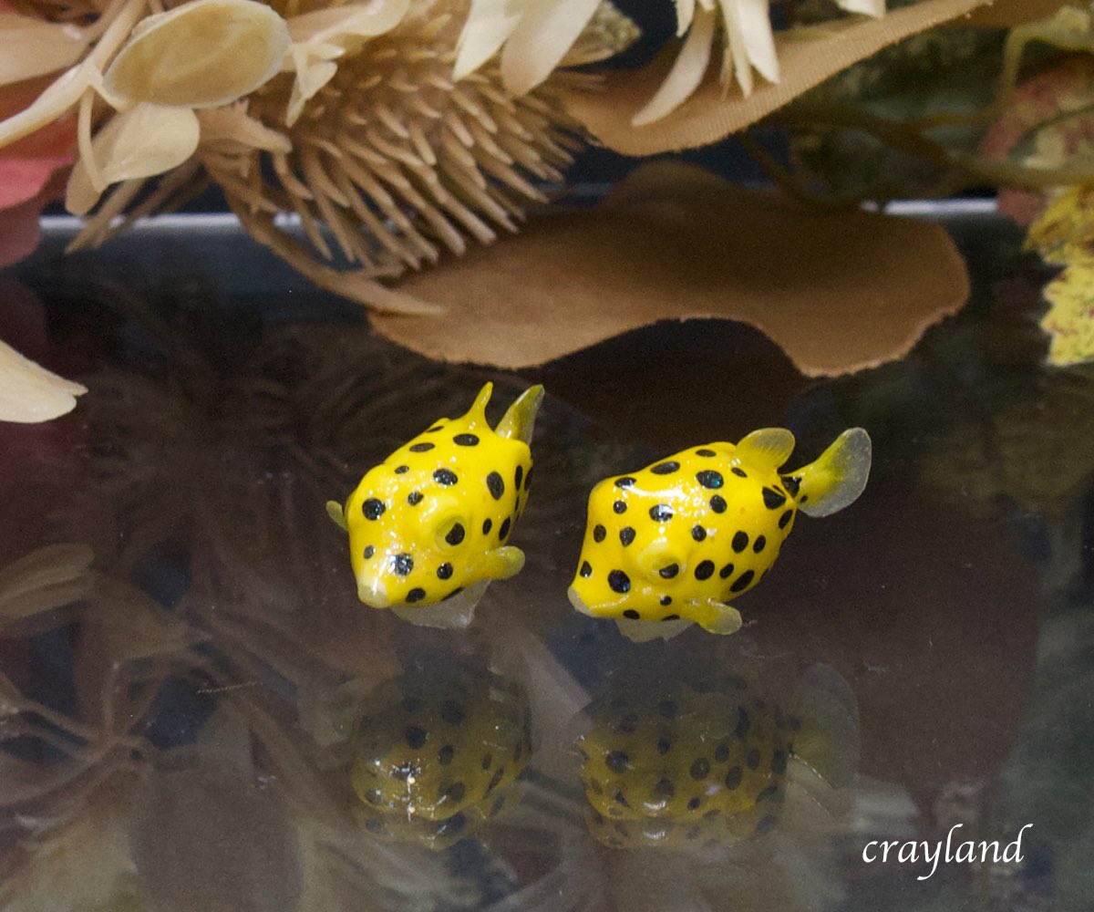 可愛い顔したハコフグちゃんが出来ました。
大きさは2.5cmくらいです。
#クレイアート #粘土細工  #ハコフグ
minne.com/@nipring10
creema.jp/c/ysuna
crayland.booth.pm