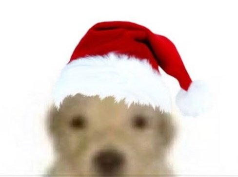 요즘너무춥으네요몸조심하시길(저는감기걸렸습니다)