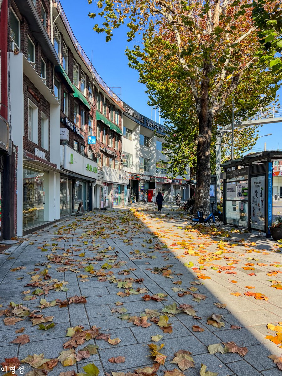 이명섭 tweet media