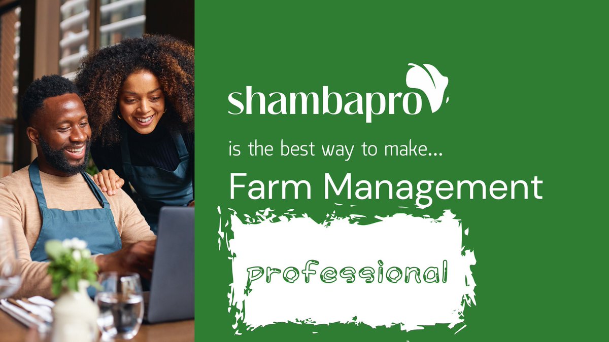 Shambapro tweet media