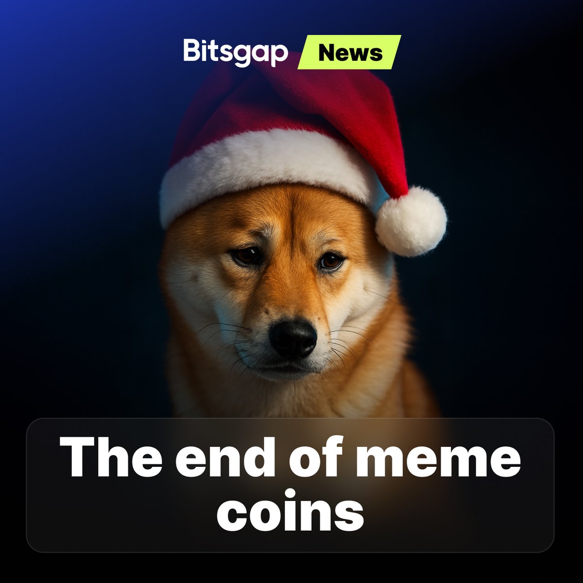 Bitsgap tweet media