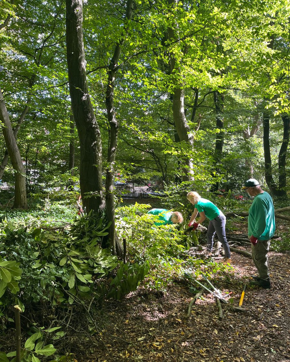 Highgate Wood tweet media
