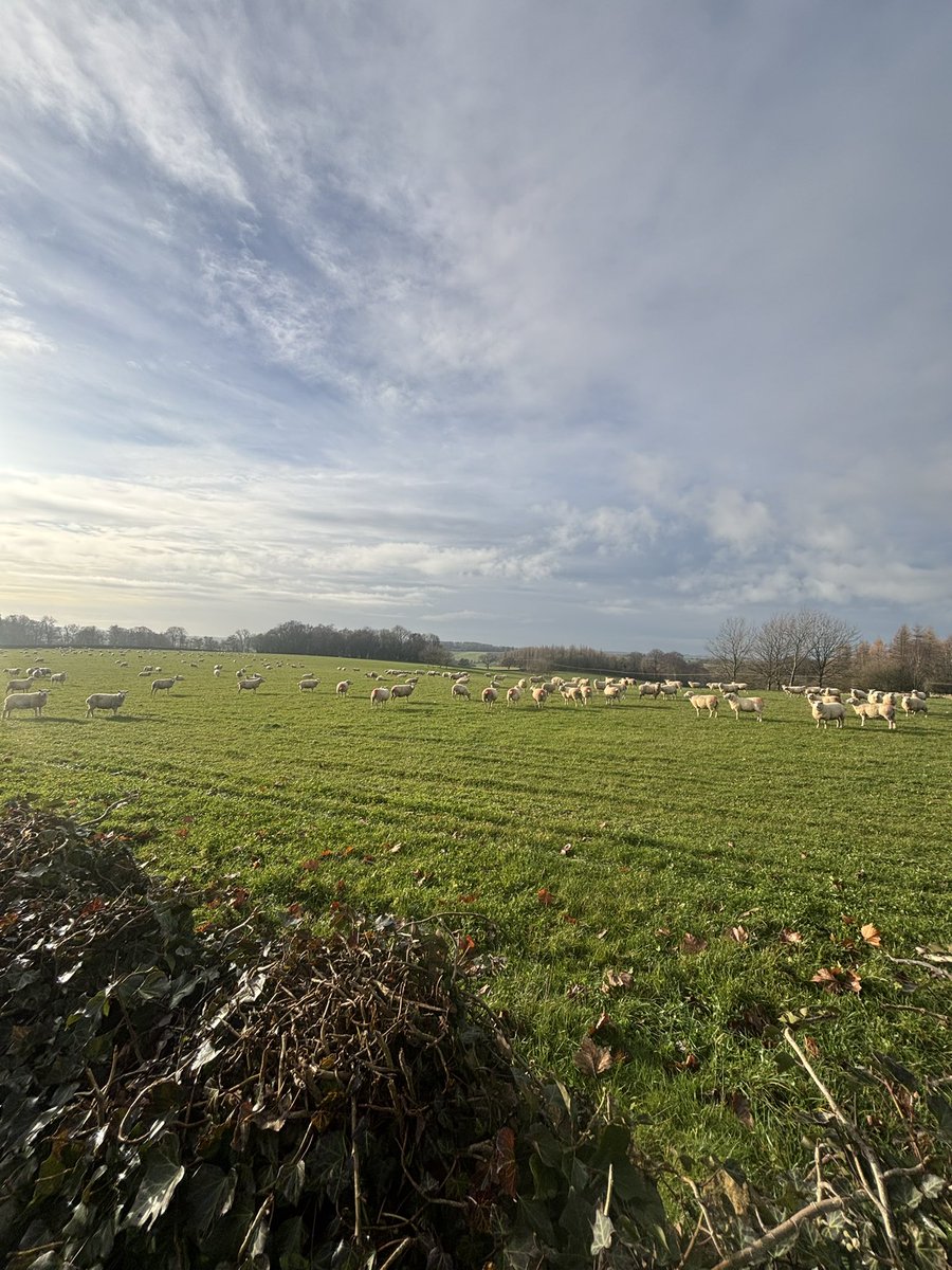 DeanPat57613010's tweet image. Muscles wanted to go somewhere warm for our 25th.  

So I brought her to England. 

It is 27 degrees warmer than Ottawa today in the Cotswolds 

#cotswolds #itswarmerthanottawa