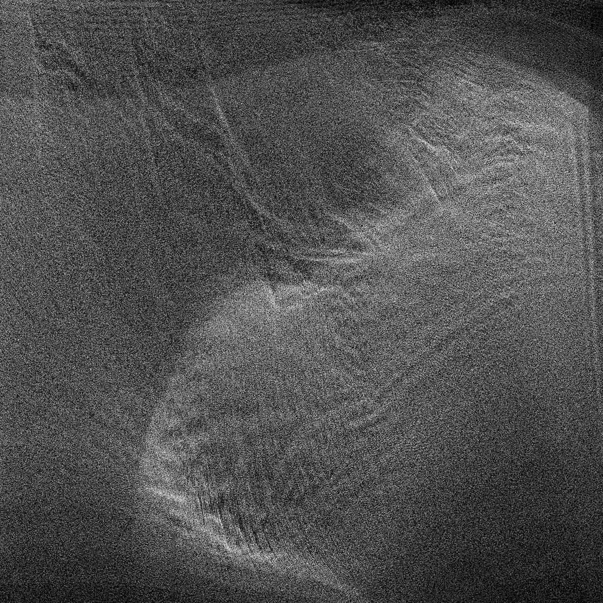 Arash Akbari آرش اکبری tweet media