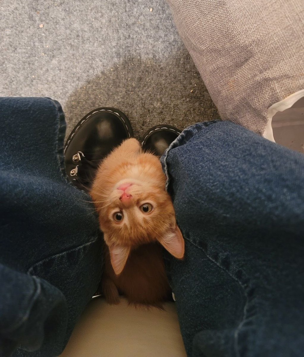 بحر 🌊 (@butterflless) on Twitter photo 