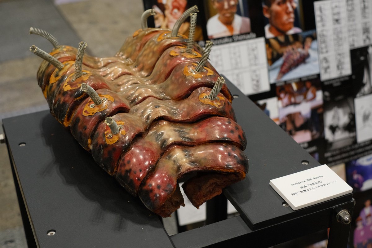 ナカムラリョウ throwcurve tweet media