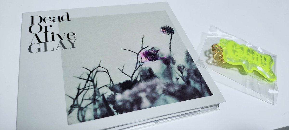 ジャケットは優しいのに曲はカッコいい……！！