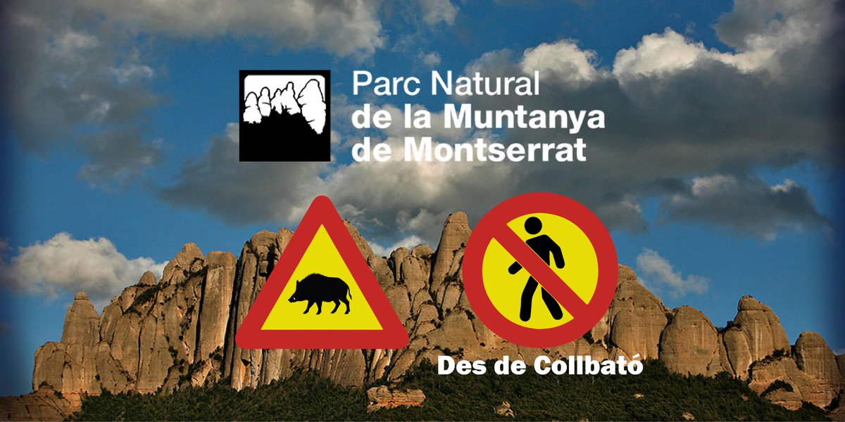 🔴 Es tanca l’accés al Parc Natural de #Montserrat des de #Collbató i se suspenen totes les activitats al medi natural per les mesures contra la #PPA 

🚷Les restriccions s’apliquen fins al 14/12.

ℹ️muntanyamontserrat.gencat.cat/ca/actualitat/…
