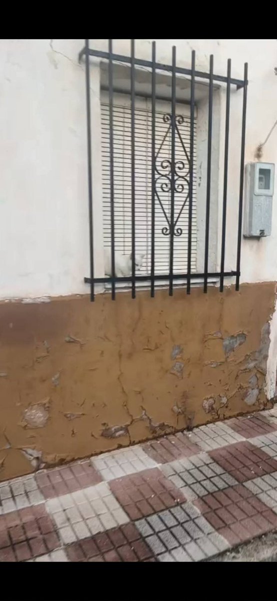 Neinei_art's tweet image. La señora que prometió cuidarnos encontró otro hogar y no nos quiso llevar con ella.
Dió unos días de margen y si no nos abandonaba en la calle.

Y eso hizo. Se fue y nos dejó en la calle. Allí estuvimos desaparecidos varios días pero Alejandra no dejó de buscarnos.

Ahora…