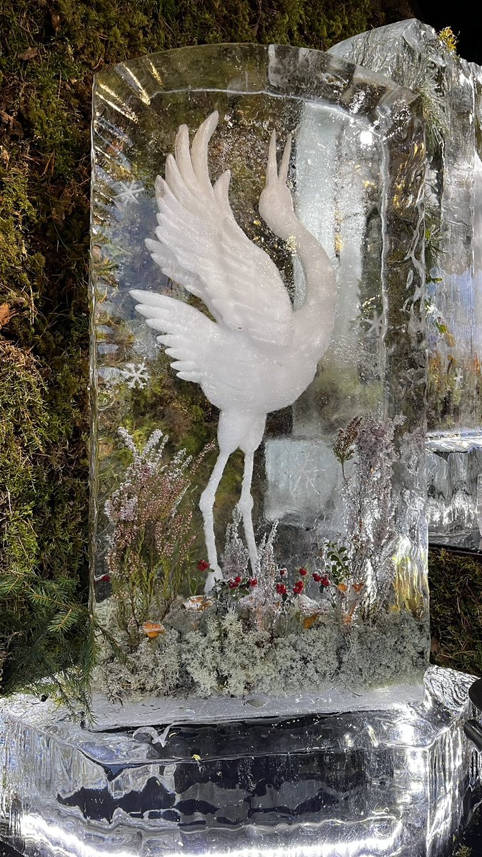 Just enjoy the peace and quiet, disconnect from the noise, it will help you feel alive. My season of code I am cabbage open 😆😌