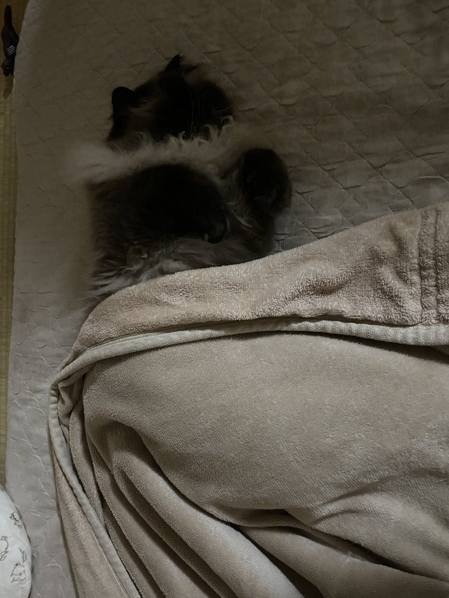 むぎ (@Mugi_is_No1) / Posts / X