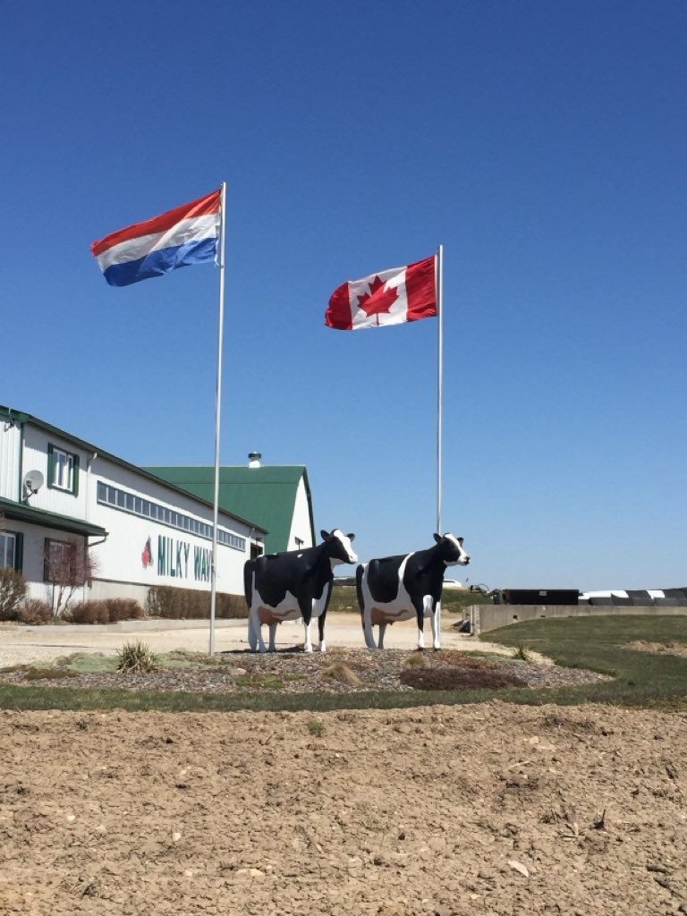 Have a list 52 heifers for sale. 
Age: 7months-22 months. 
Lots of milk/components in the pedigrees out of good strong cows  
Registered,Geno tested,vaccinated,Closed herd.