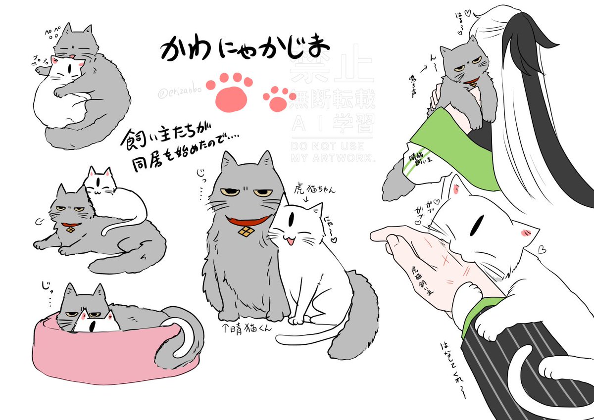 (晴景/晴虎)
川中島でかわにゃかじま🐈
飼い主たちが同居を始めたので猫たちも一緒に暮らし始めましたよ 