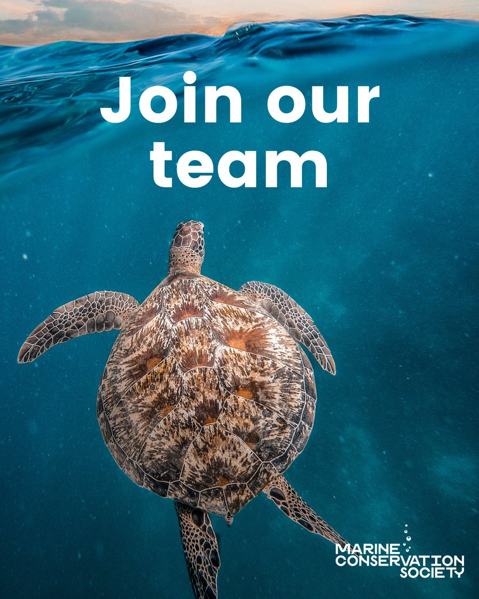 Marine Conservation Society tweet media