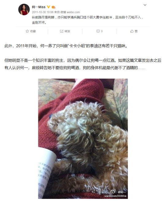 Arena18888's tweet photo. 一姐的狗 卡卡小姐 还没有被发射过 

https://t.co/28nVbztNt6 https://t.co/OxkqxrUdkc