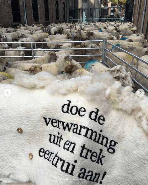 textielplatform's tweet photo. Nieuwsbrief Textielplatform | december 2025 - https://t.co/kt9VSUJH0F
Natuurlijk gaat het over kerst! Maar ook over digitale breimachines en andere bijzondere onderwerpen! https://t.co/WgsTrFAomJ