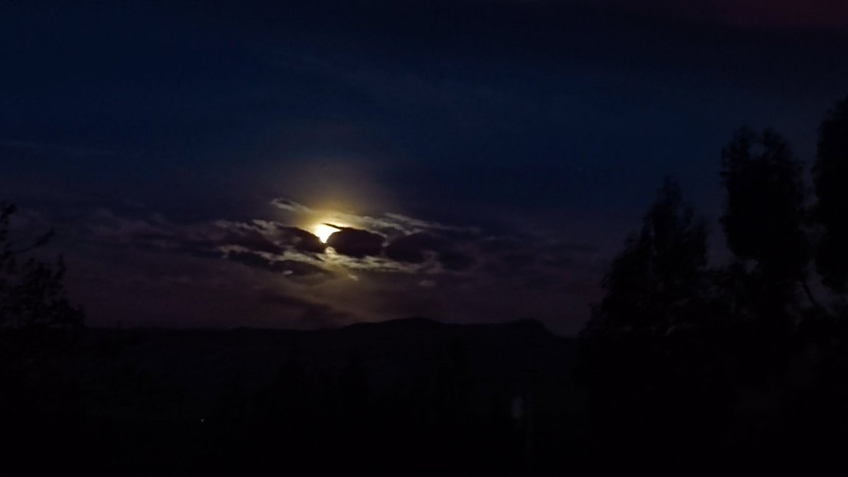 Sandy Espinoza F tweet media