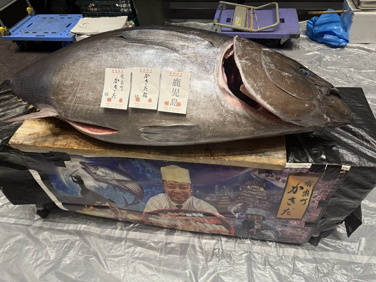 蛎田寿司の最高マグロ解体ショー！
<a href="/KazuhiroKakida/">鮨大将かきだ(美味しい鮨/出張まかない海鮮丼の店)</a>