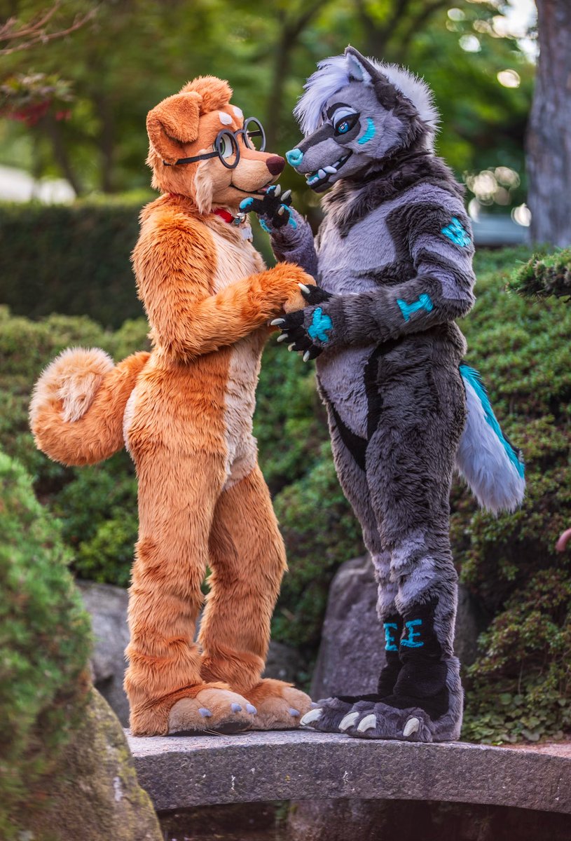 "The eyes are windows to our soul" - No wonder yours are the most beautiful I've ever seen 🥰💙 #FursuitFriday