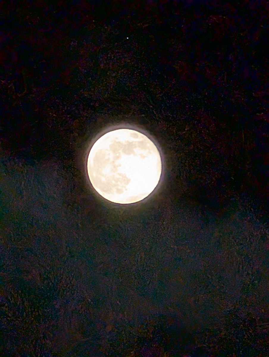 月が綺麗ですね🌙✨