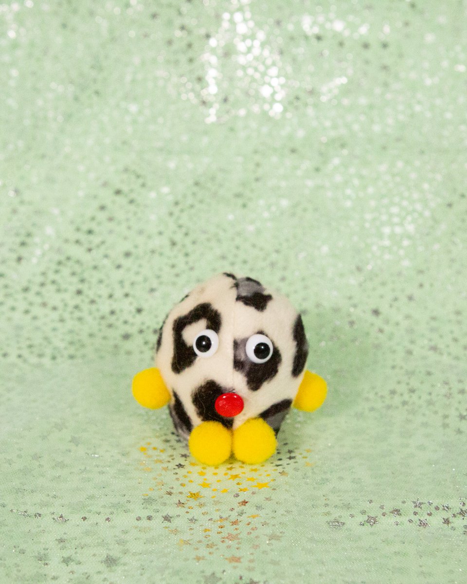 띠로리 TIRORI tweet media