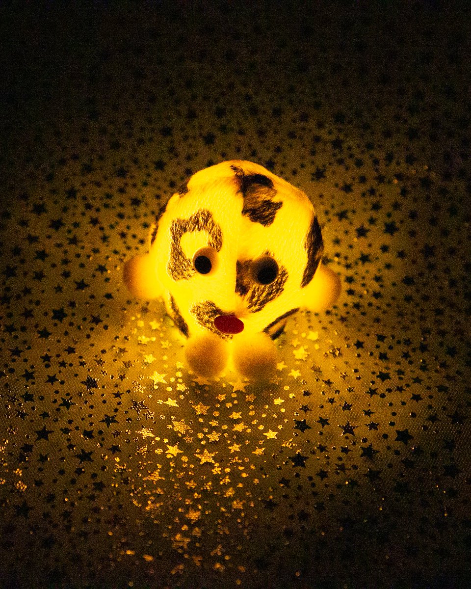 띠로리 TIRORI tweet media