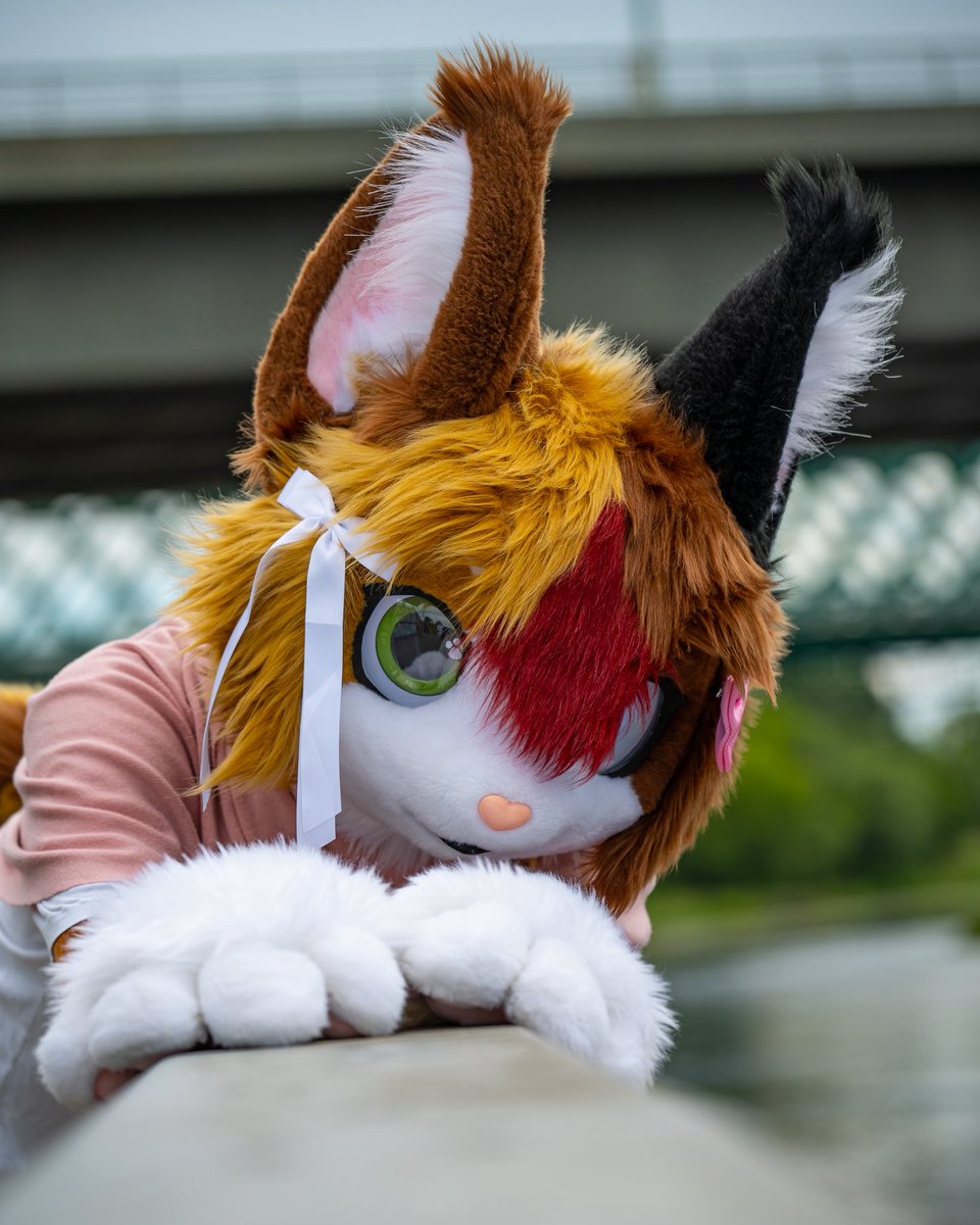 <a href="/Melon_mow/">Soju cat ➔ MFF, FC</a> did I do the pose right? 😅✨🧡
Happy #FursuitFriday !
📸: <a href="/Slibiniukas/">Dragoniel</a> 🐉