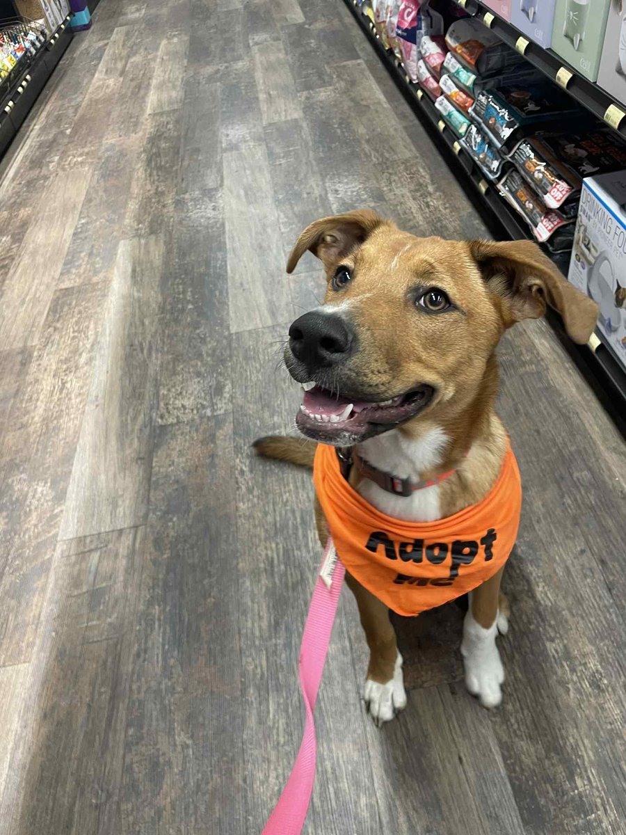 98 COOL fm tweet media