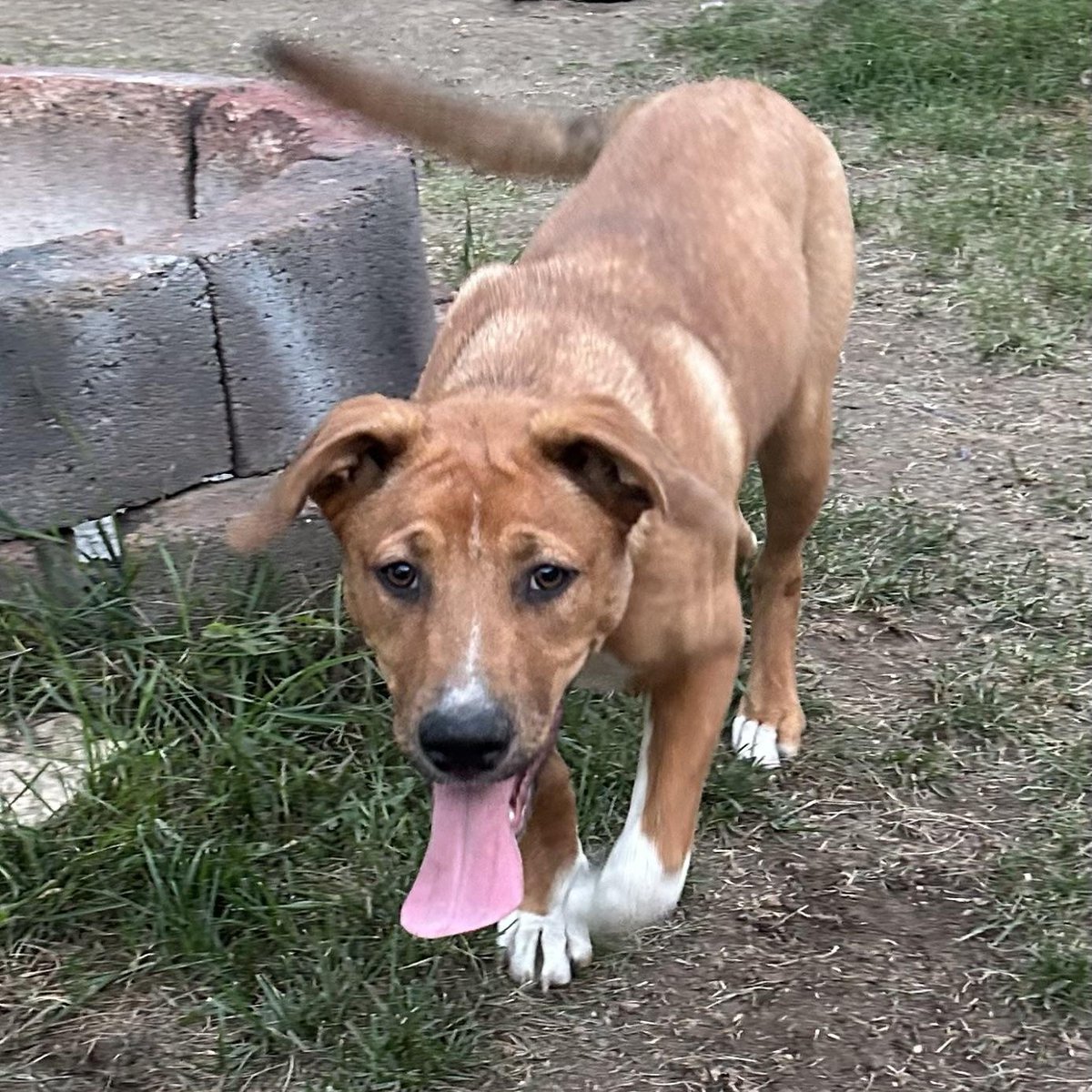 98 COOL fm tweet media