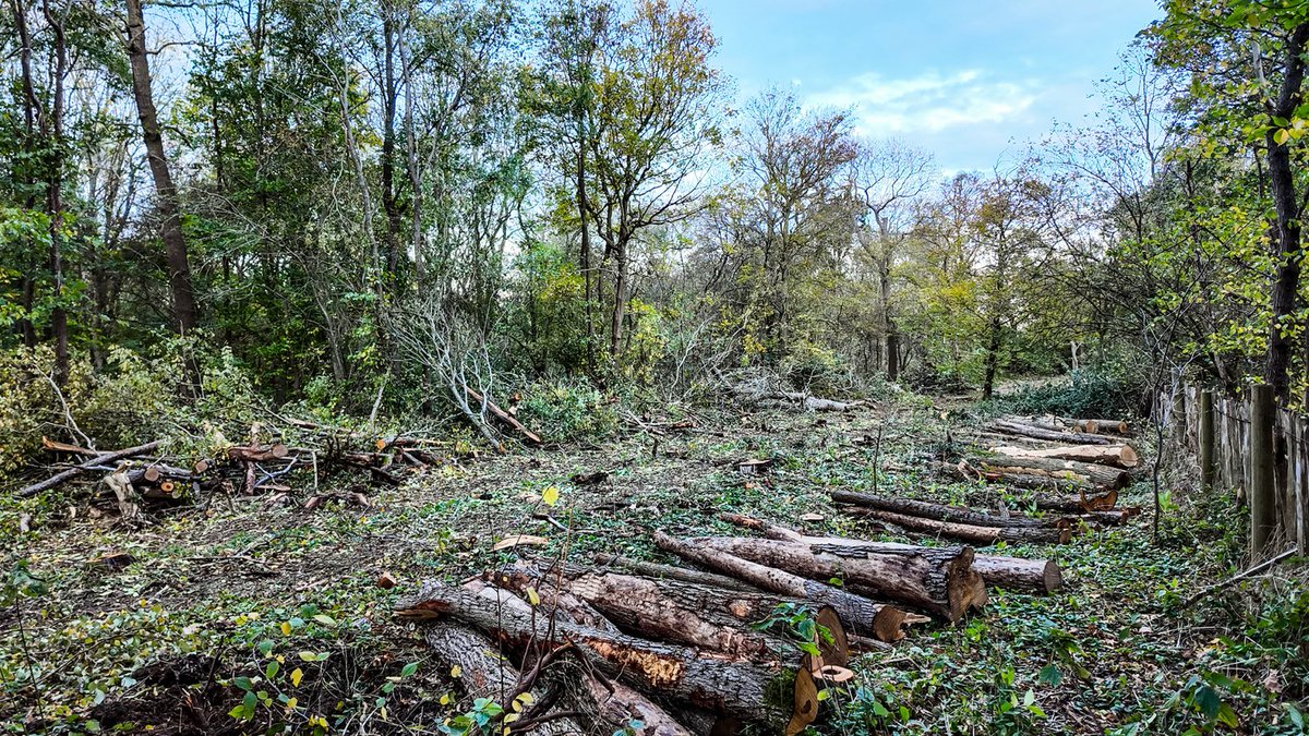 Mark Williamson tweet media