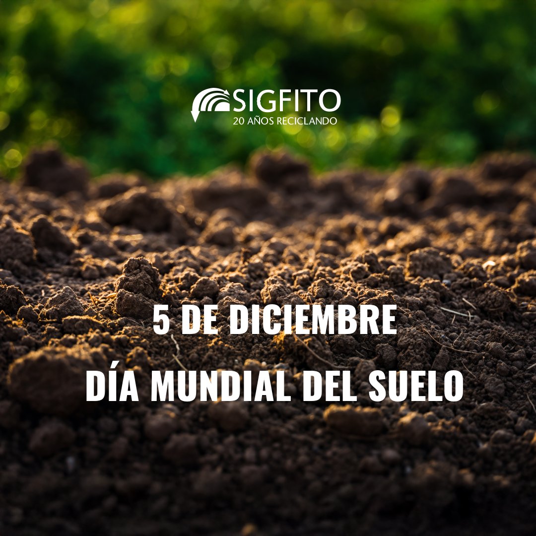 🌱 Día Mundial del Suelo
Hoy celebramos la importancia de un recurso que lo es todo: el suelo.
En SIGFITO trabajamos para protegerlo mediante la correcta gestión de los envases agrarios y el impulso de prácticas más sostenibles.

Cuidar el suelo es cuidar el futuro.
♻️ Cada