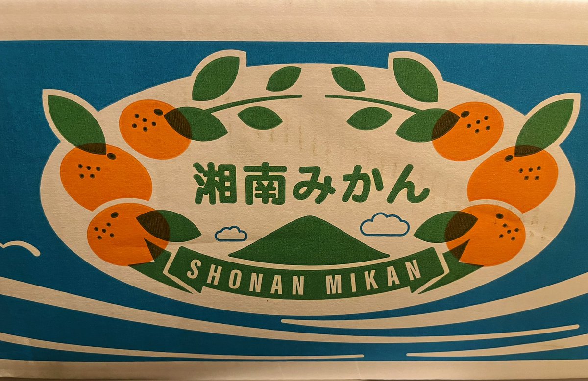 十三月山の蜜柑の木、寿命でほぼほぼ全滅したと聞いていたのに、また