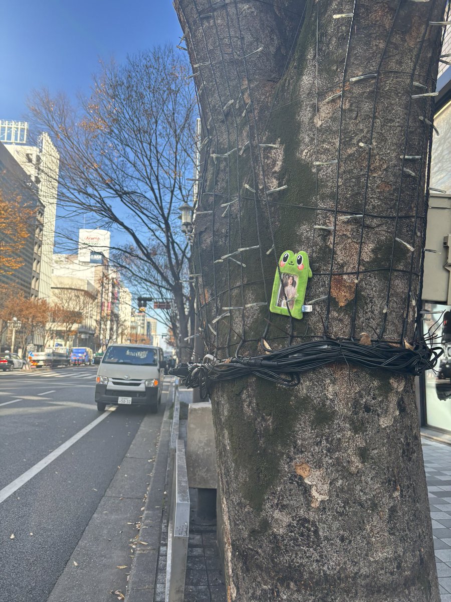 みかんのしせん🍊🐯 (@anpan_tiger_731) / Posts / X