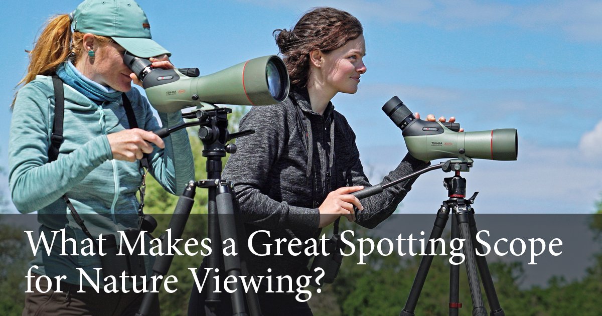 KowaOptics's tweet image. Looking for the perfect scope for nature viewing? 
Our latest blog post breaks down what actually matters 
from fluorite crystal optics to dual focus control. Here's what to look for! bit.ly/4az1WdJ

#KowaOptics #disKOWAnature #SpottingScope