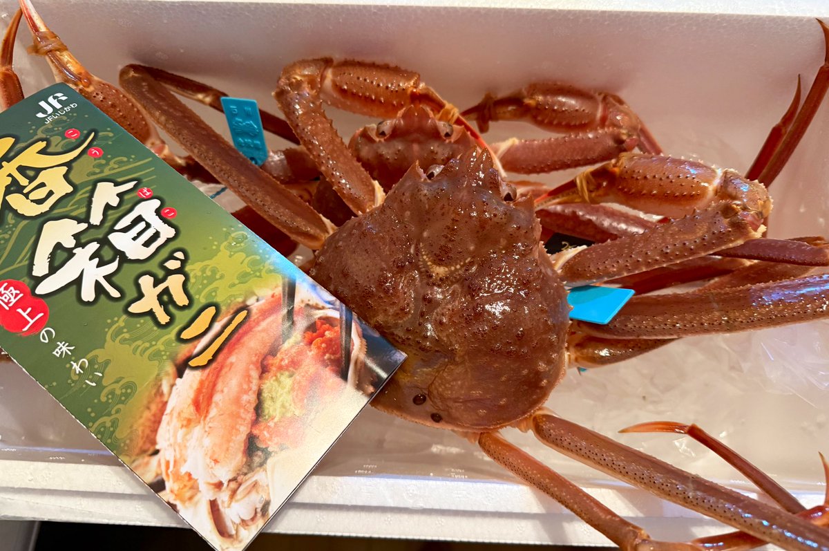 sakurako (@00sakurako) / Posts / X