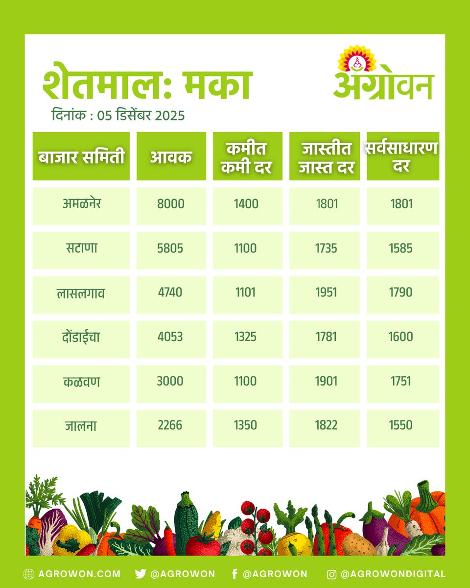 AGROWON's tweet photo. राज्यात कांदा, सोयाबीन, मका, कापसाच्या किमती काय आहेत? कोणत्या पिकाच्या किमती वाढल्या आहेत, कोणत्या पिकाच्या किमतीत घसरण झाली आहे. हे जाणून घेण्यासाठी पाहा काय आहे आजचा बाजारभाव
#OnionPrice #SoybeanRate #maizeproductionrice #TomatoRate #MarketPriceUpdate #AgriMarket https://t.co/PymnZuvKlo