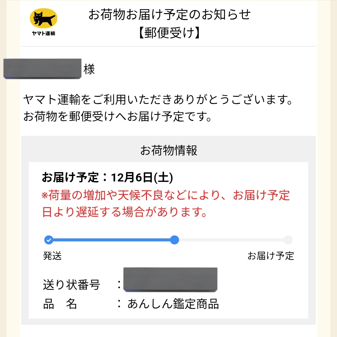 高級カードをあんしん鑑定に出して なんの保証もないネコポスで発送し