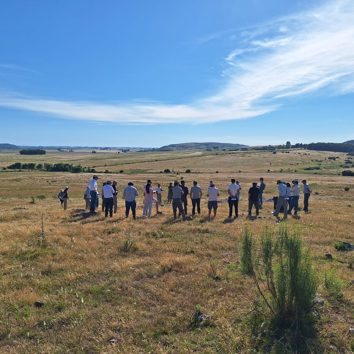 Plan Agropecuario tweet media