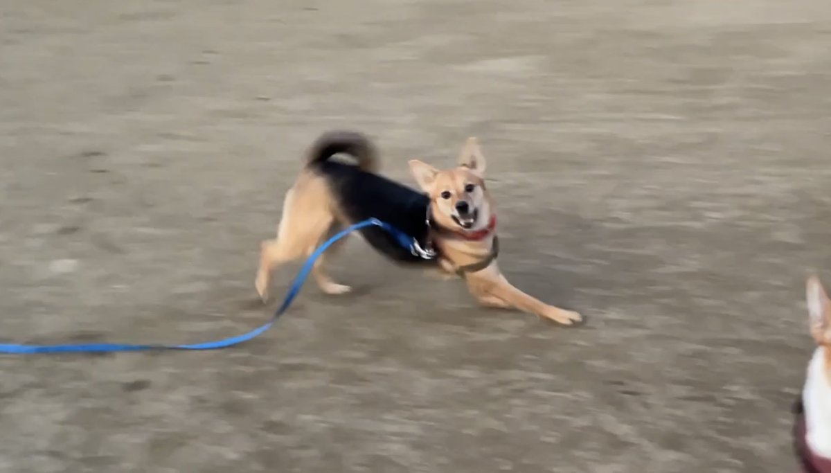 みなさんこれが
生きるよろこびです