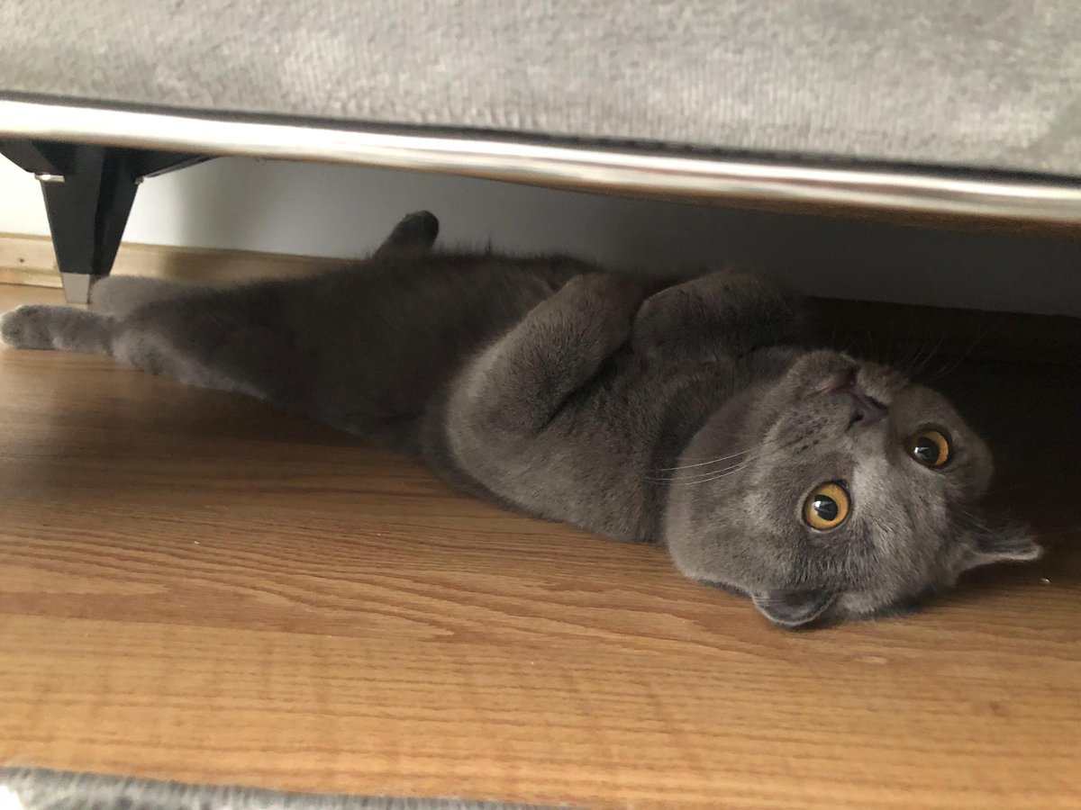 saatlerce aradıgim kedimi buldugum yer