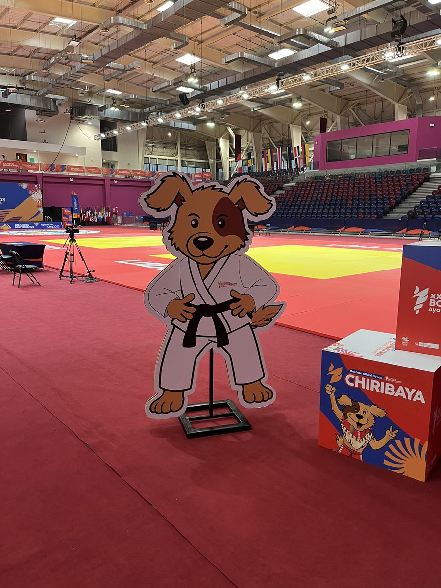 Kitastrophe tweet media