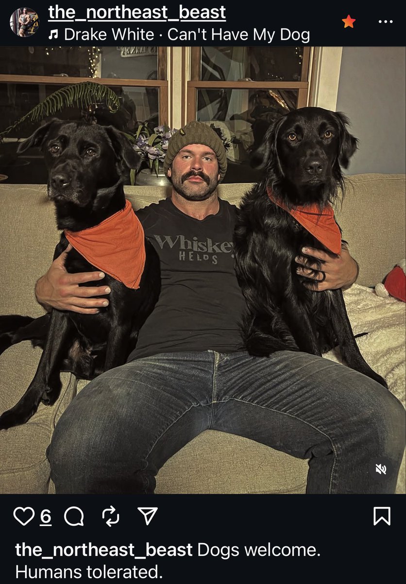 The_northeast_beast on Instagram